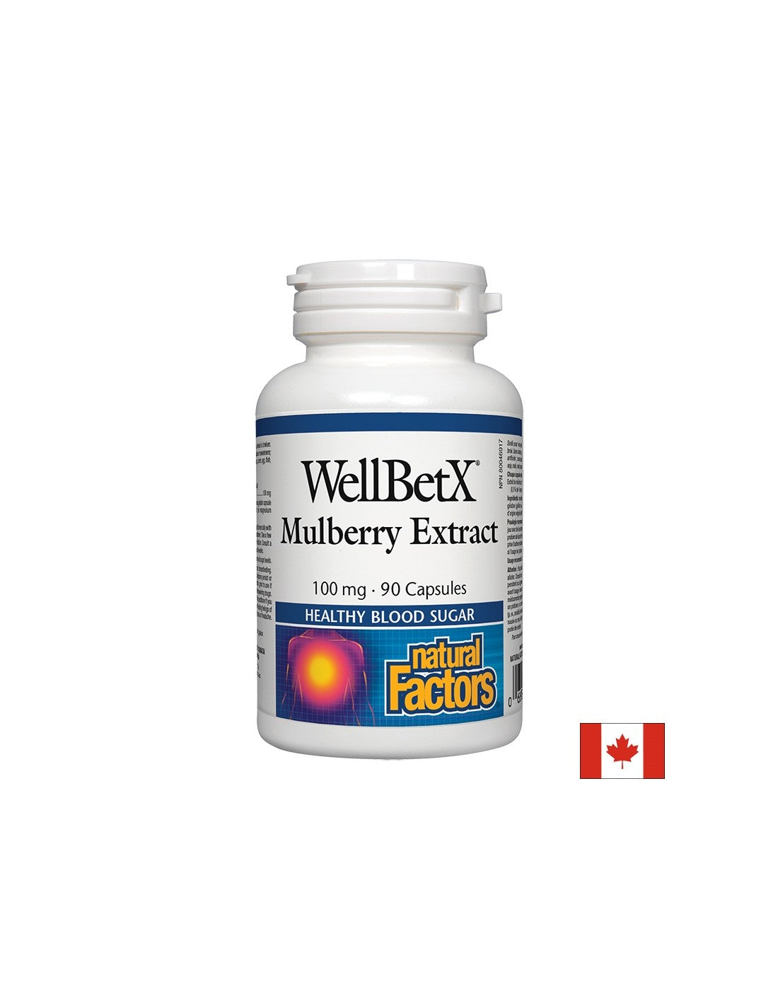 WellBetx Mulberry Extrakt 100 mg - 90 kapsúl