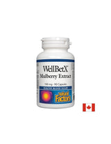 WellBetx Mulberry Extrakt 100 mg - 90 kapsúl