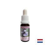 Per l'equilibrio e la calma - Verbena Essence n. 31, scende 15 ml