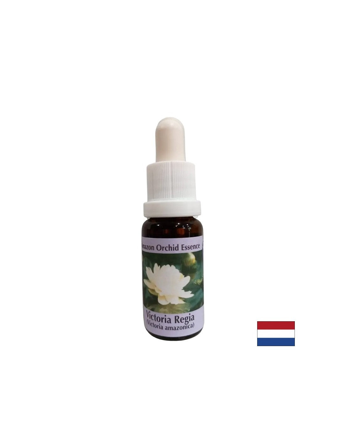 For spiritual awareness - Victoria Regia Essence No. 20, 15 ml drops