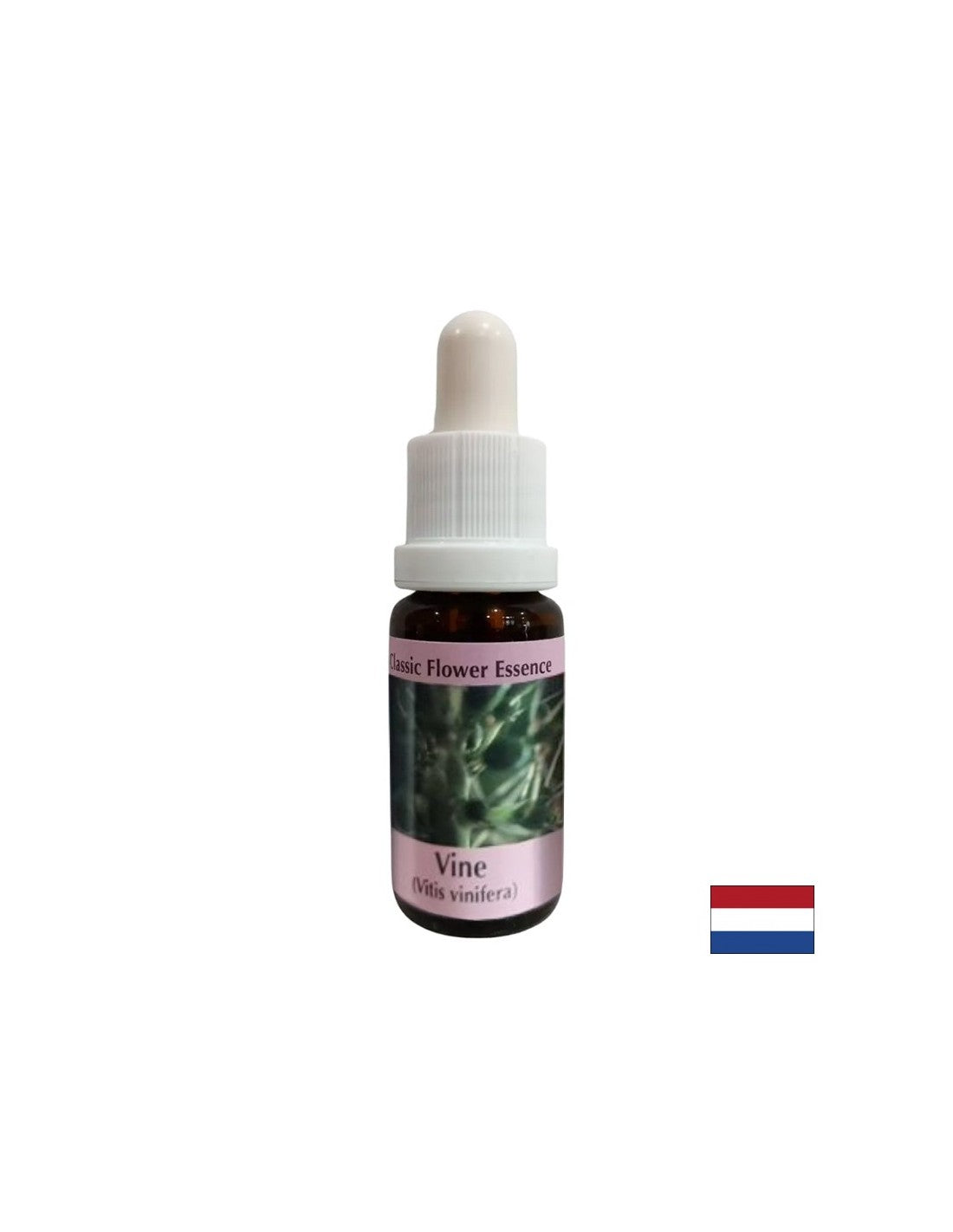 Per controllare l'egoismo - Essenza di uva n. 32, scende 15 ml
