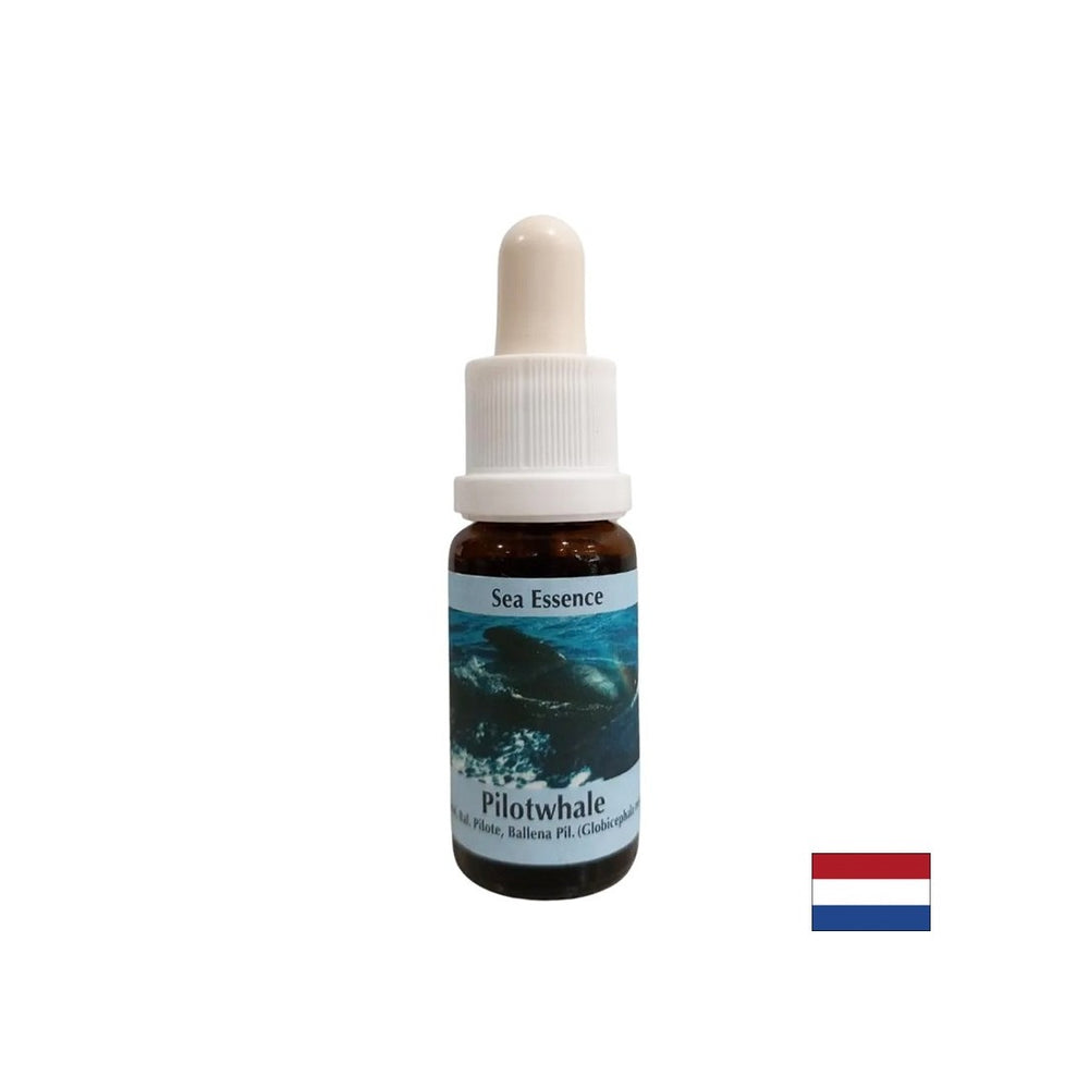 For meditation - Essence Black Grind No. 10, drops 15 ml