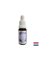 For finding the right words - Essence Mechiel (Angel Essence No. 16), drops 15 ml