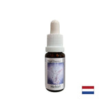 For finding the right words - Essence Mechiel (Angel Essence No. 16), drops 15 ml