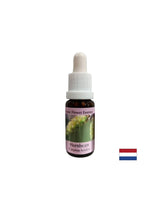 Per più energia e motivazione - Hornbeam Essence n. 17, scende 15 ml