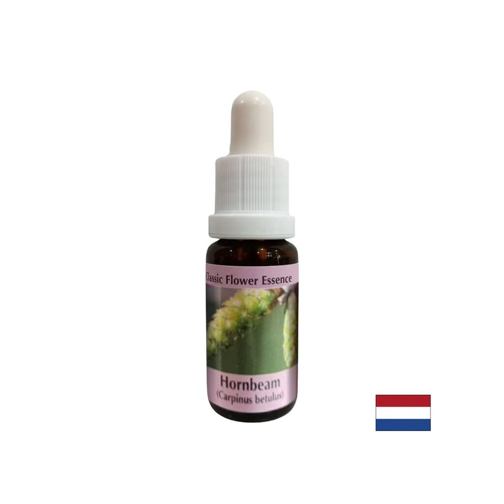 Per più energia e motivazione - Hornbeam Essence n. 17, scende 15 ml