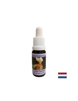 For recognizing vital tasks - Orchid Essence Psyche No. 17, drops 15 ml