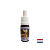 For recognizing vital tasks - Orchid Essence Psyche No. 17, drops 15 ml