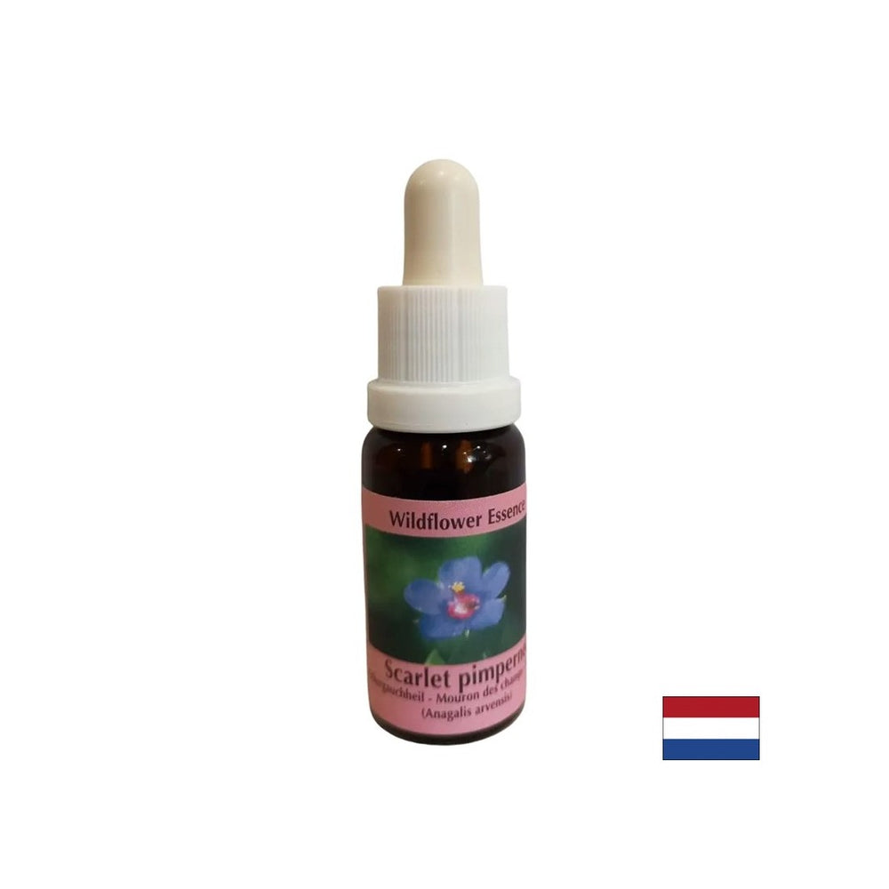 For self-discovery and integration - Essence Polish Fireweed No. 21, drops 15 ml