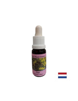 Energizzas - Oak Essence n. 22, scende 15 ml