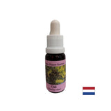 Energizzas - Oak Essence n. 22, scende 15 ml