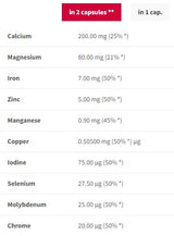 Miner Märecht Komplex | Immunsystem an Nervens System Support - 90 Kapselen